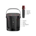 Portable Karaoke Speaker System with Wireless Microphone and Type-C Charging